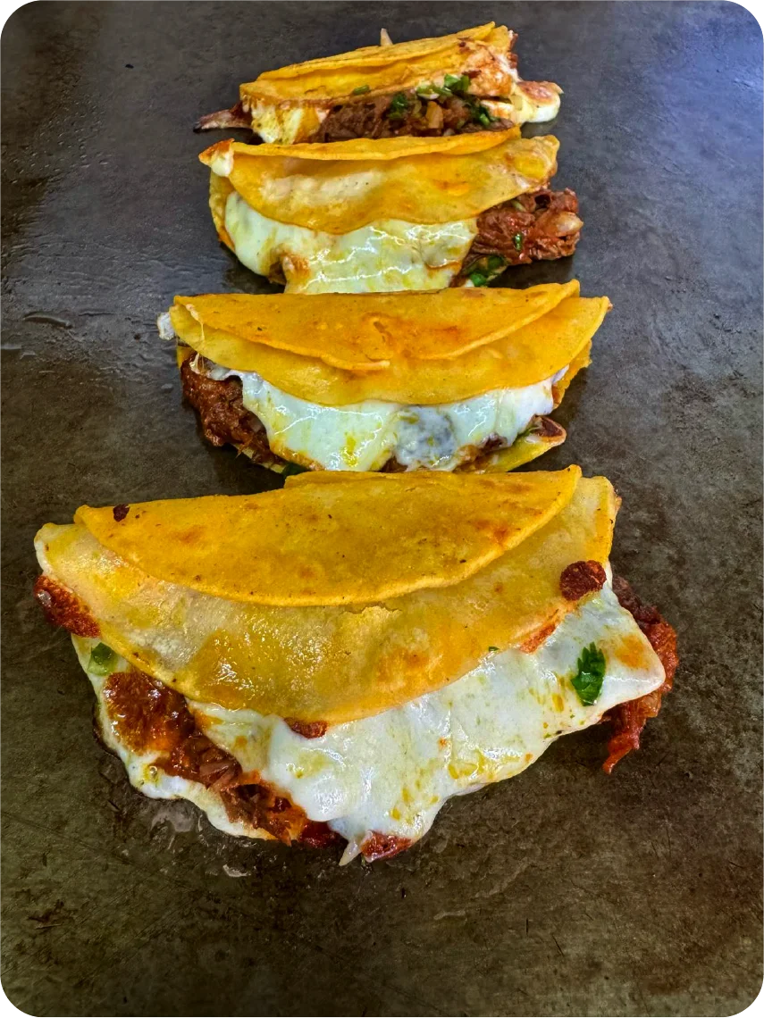 Tacos de birria