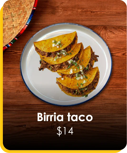 Birria Taco